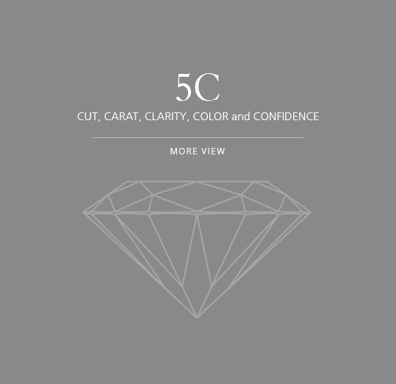 5C
